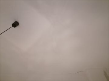 Pintura