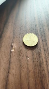 Especialista de Reparação de Móveis