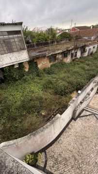 Especialista de Limpeza de Terrenos
