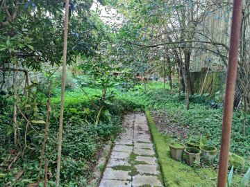 Jardinagem