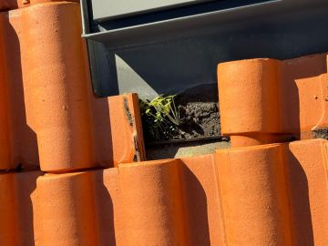 Roof Installation or Replacement