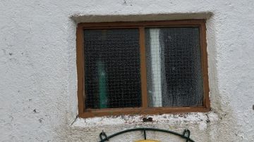Windows