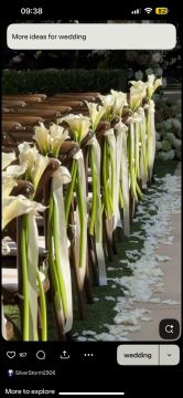 Decoração de Eventos - Decoração de Festas e Eventos
