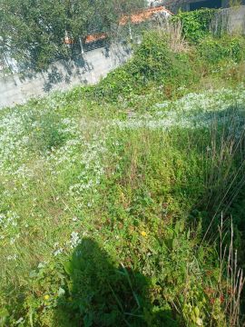 Lawncare - Home Improvements
