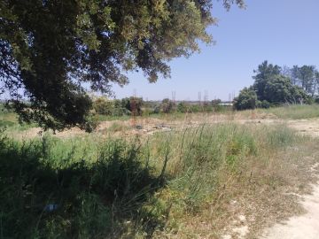 Jardinagem e Relvados