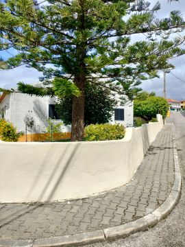 Poda e Manutenção de Árvores