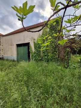 Serviço de Topografia