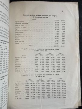 Genealogista - Serviços Variados