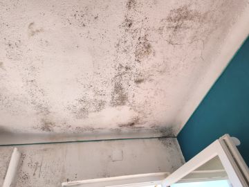 Pintura de Casas