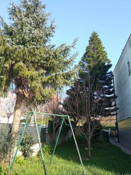 Lawncare - Home Improvements
