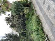 Lawncare