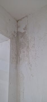 Pintura de Casas