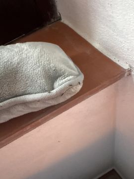 Empresa de Controlo de Pragas