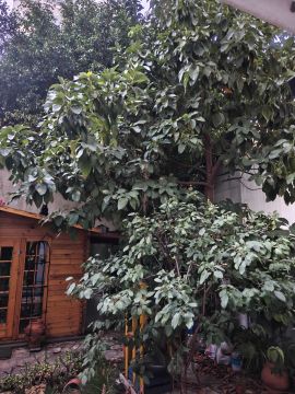 Gartenarbeiten