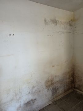 Proveedor de servicios de construcción