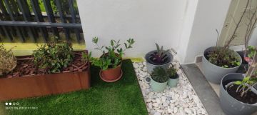 Drip Irrigation System Installation