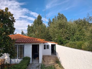 Roof Installation or Replacement