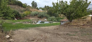 Serviço de Jardinagem