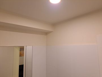 Pintor de Casas
