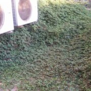 Gardening