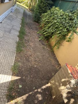 Jardinagem - Jardinagem e Relvados