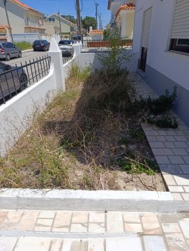 Artificial Turf Specialist