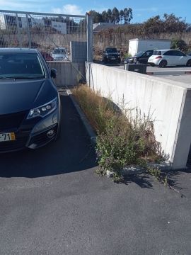 Jardinagem e Relvados