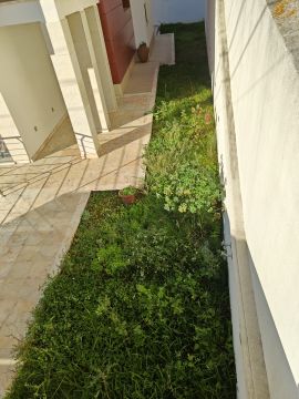 Artificial Turf Specialist