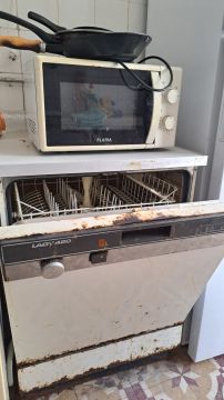 Especialista em Remoção de Lixo e Entulho