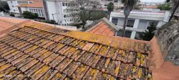 Telhados e Coberturas