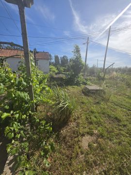 Jardinagem e Relvados - Casa