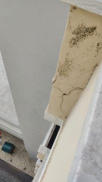 Exterior Painter