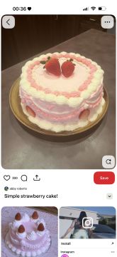 Cake Designer