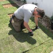 joaquim gouveia - Castelo de Paiva - Greenhouse Services
