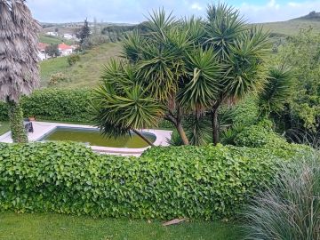Gartenarbeit