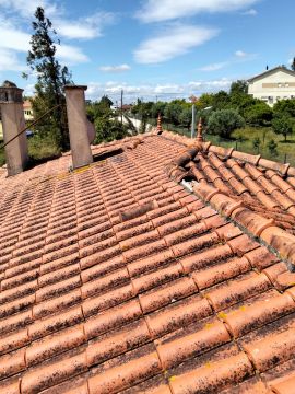 Telhados e Coberturas