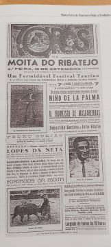 Designer Gráfico