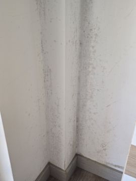 Spezialisten für Renovierungen