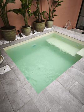 Limpeza ou Manutenção de Piscina