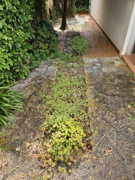 Lawncare
