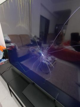 TV Repair Services