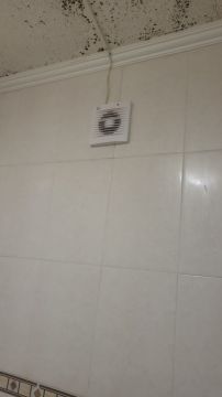 Electrical and Wiring Specialist