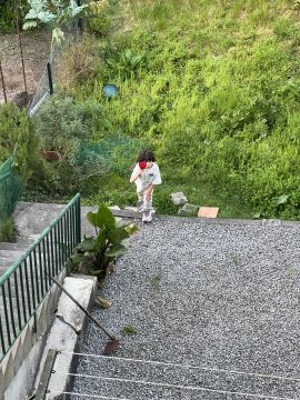 Gartenarbeit