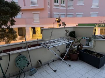 Serviço de Jardinagem