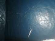 Upholstery Repair