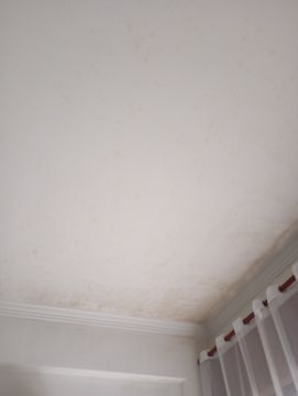 Peintre en bâtiment intérieur