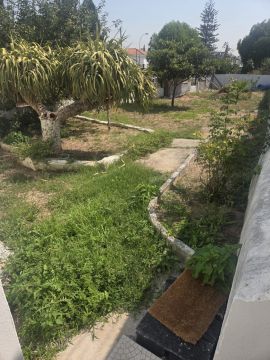 Jardinagem