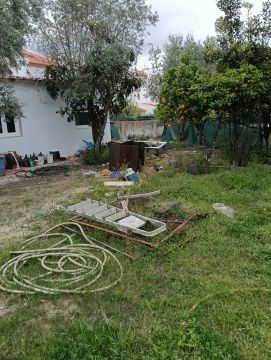 Especialista em Remoção de Lixo e Entulho