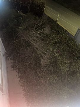 Gartenarbeit