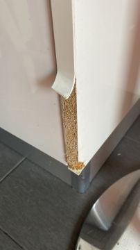 Handwerker für Möbelreparatur